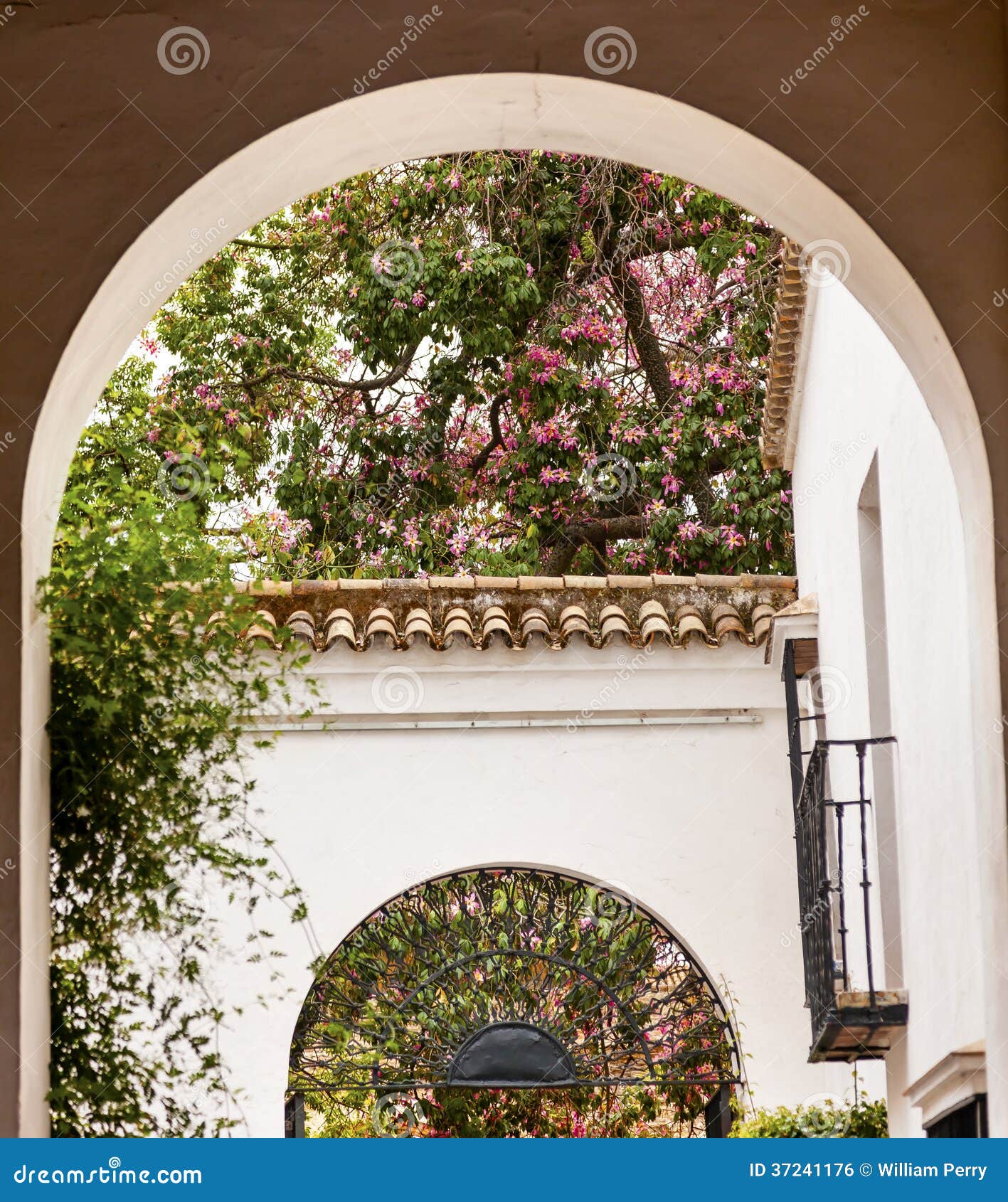 White Horseshoe Arches Pink Flowers Alcazar Royal Palace Seville Stock ...