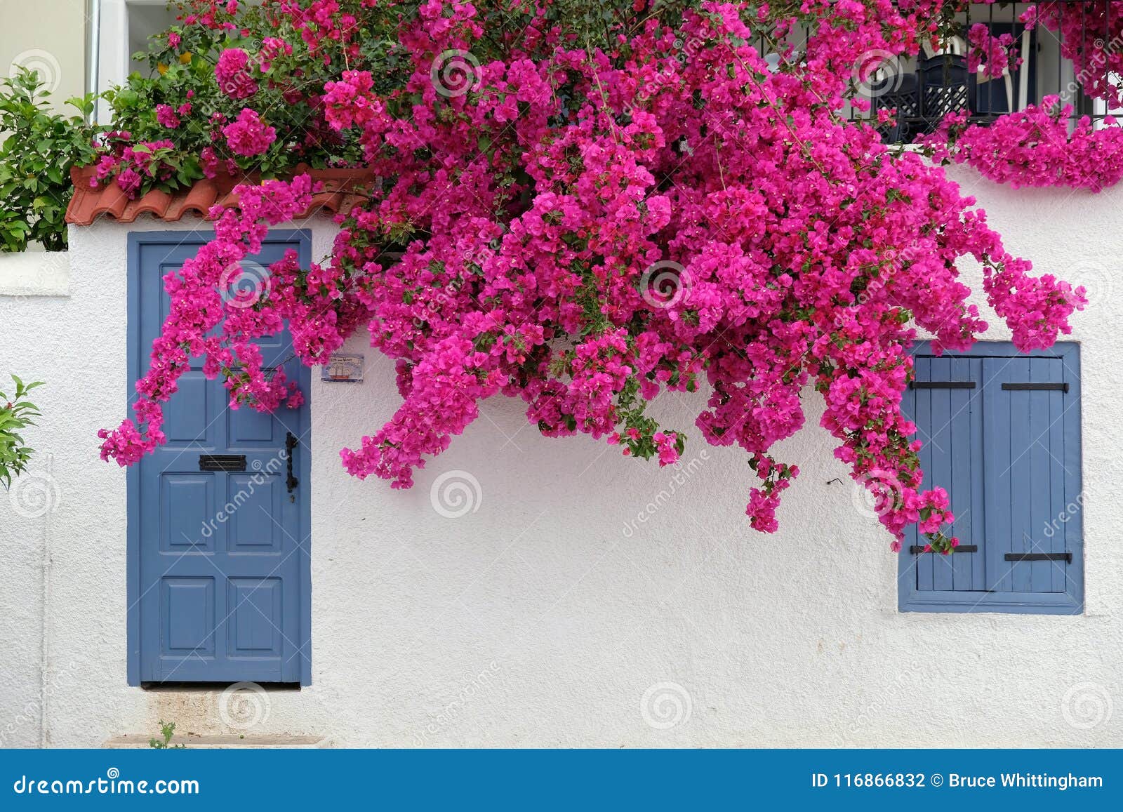 White House with Blue Door and Pink Bougainvillea, Greece Stock Photo ...