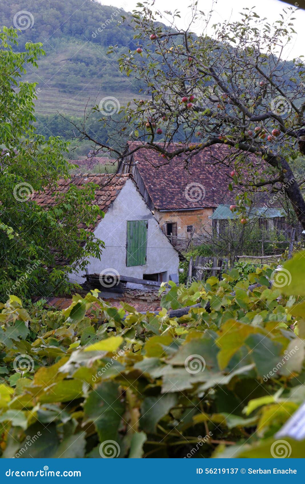 House in Garden of Saxon Village, Transylvania, Romania Stock Image ...