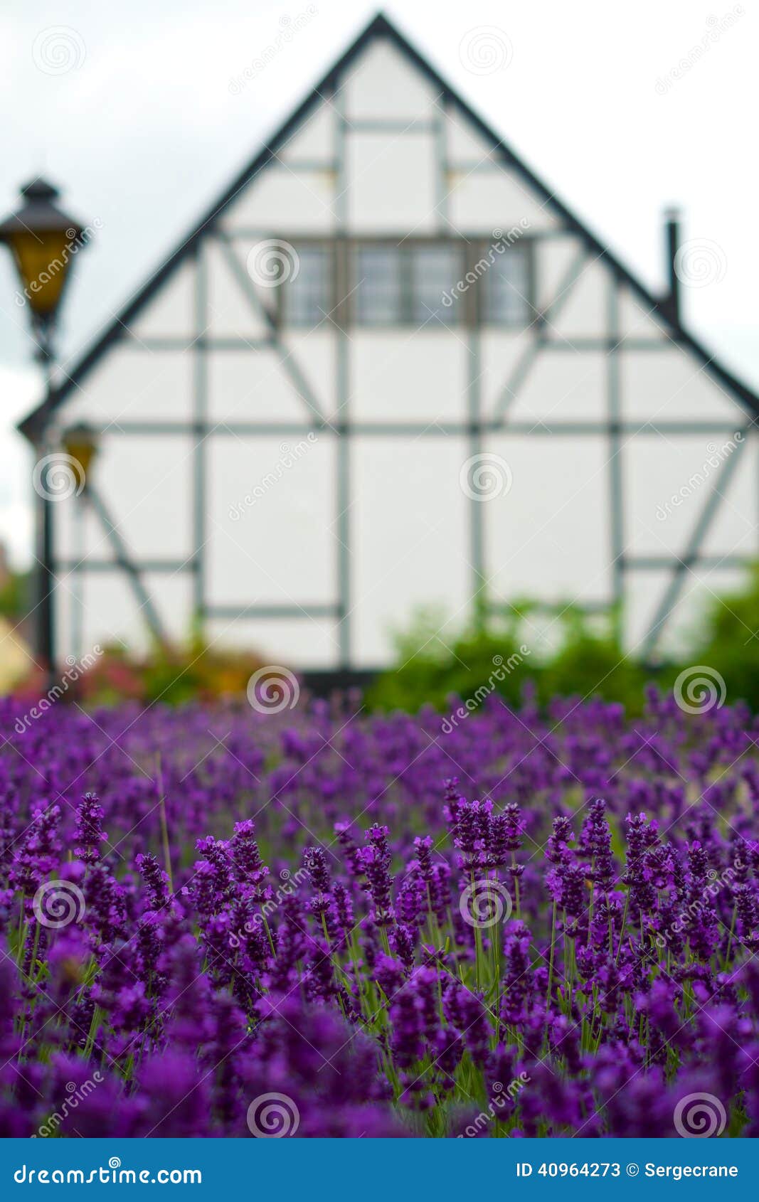White House and Purple Flowers Stock Image Image of sunlight, outdoor
