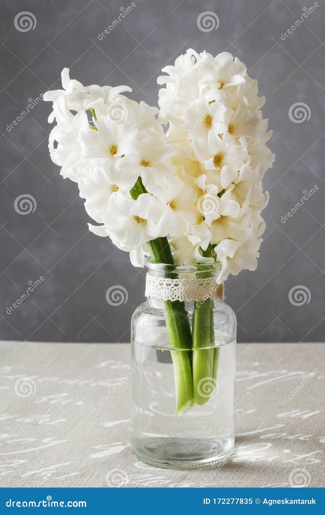 White Hyacinths in Glass Vase Stock Image Image of hyacinth, flower