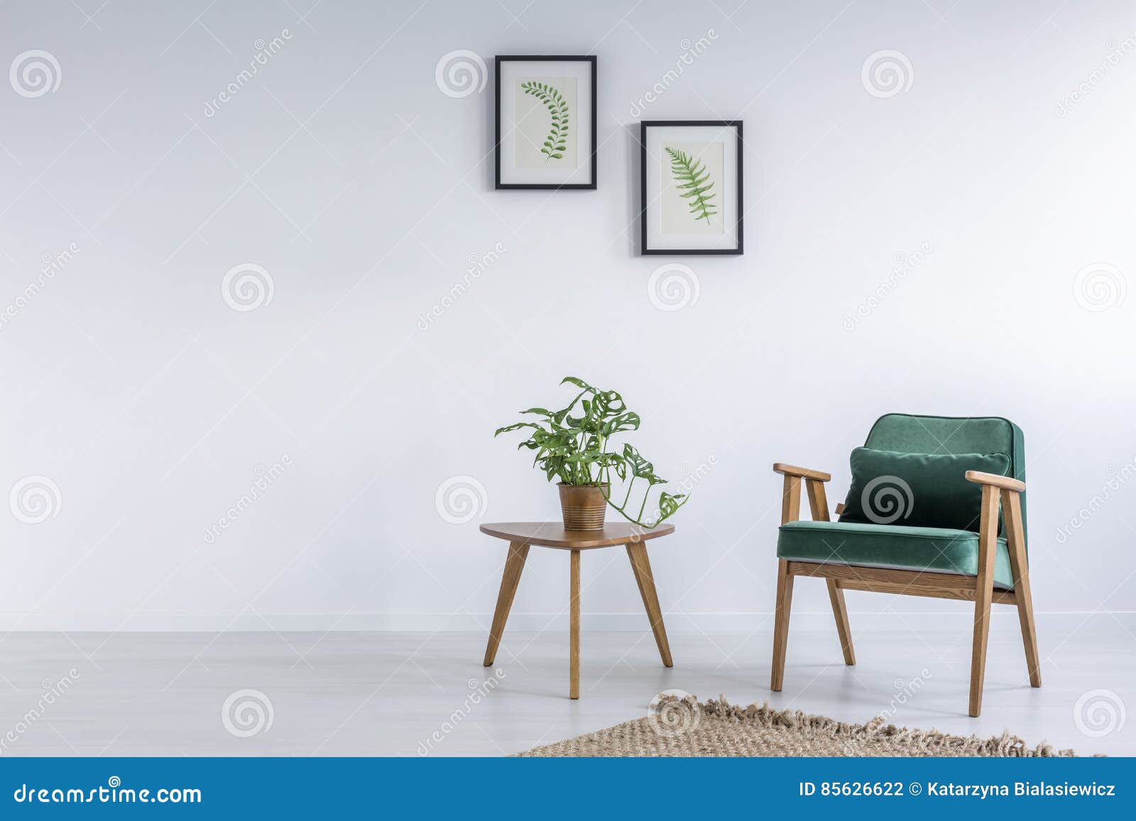 White Interior with Kale Green Chair Stock Photo Image of kale, leaf