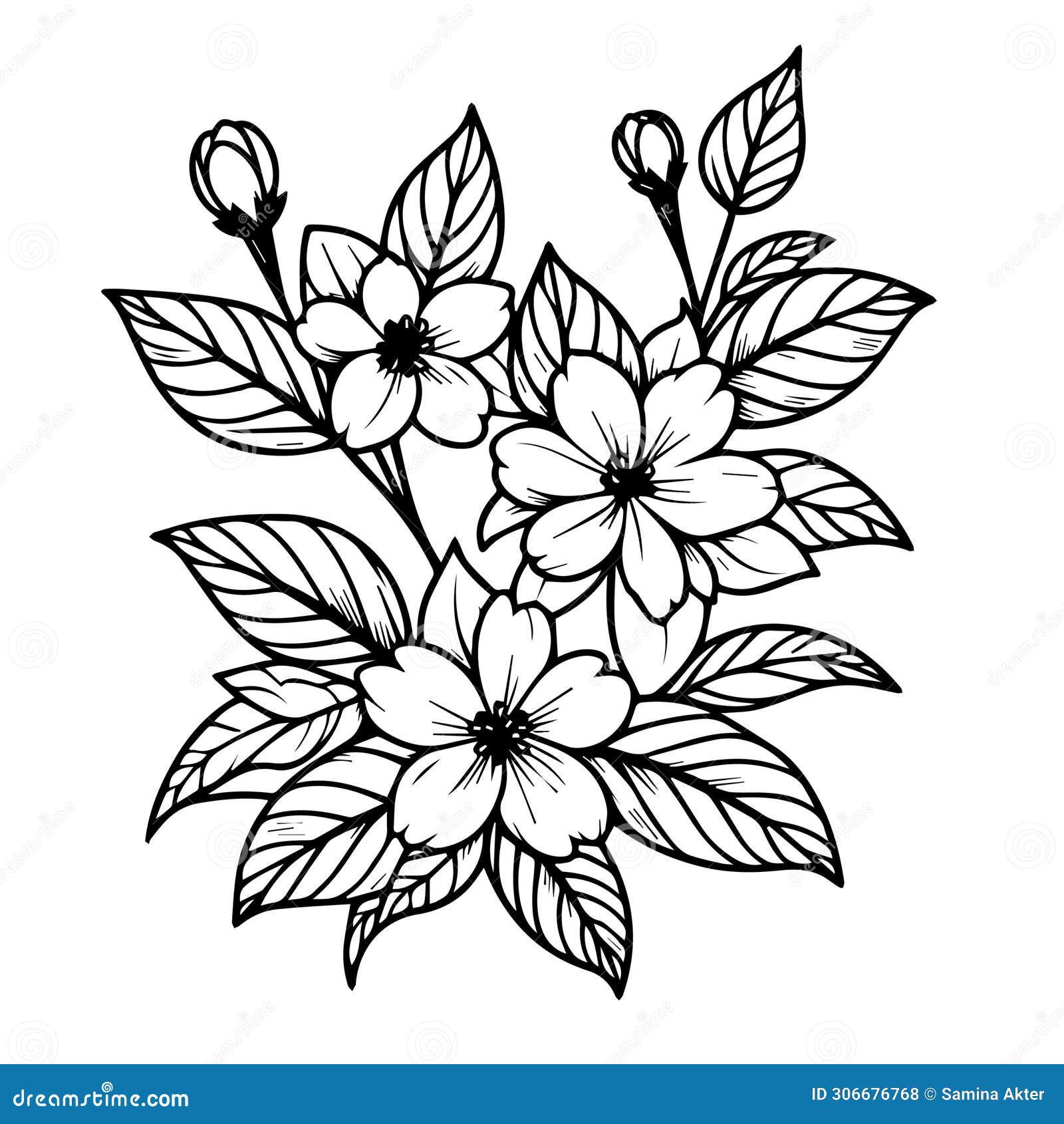 White Jasmine Flower Drawing, Realistic Jasmine Flower Drawing, Art