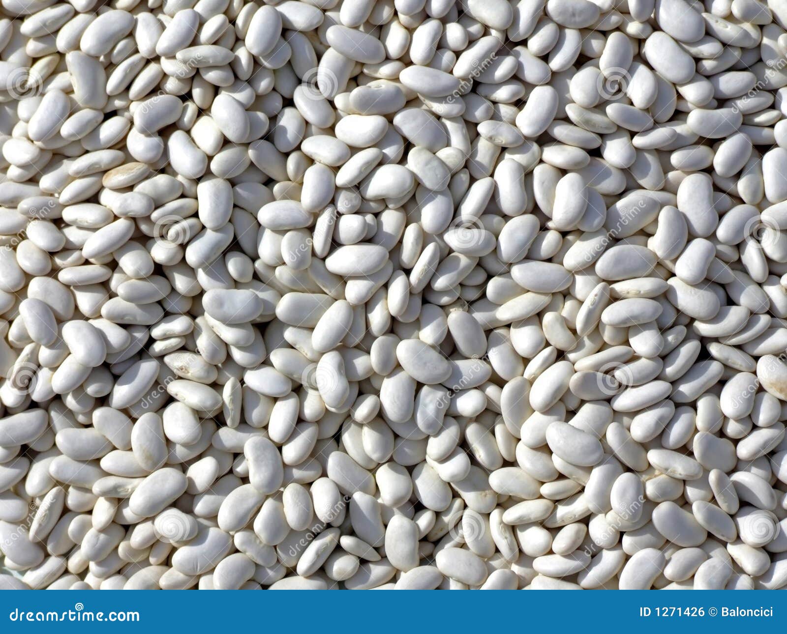 White kidney beans stock photo. Image of open, organic 1271426