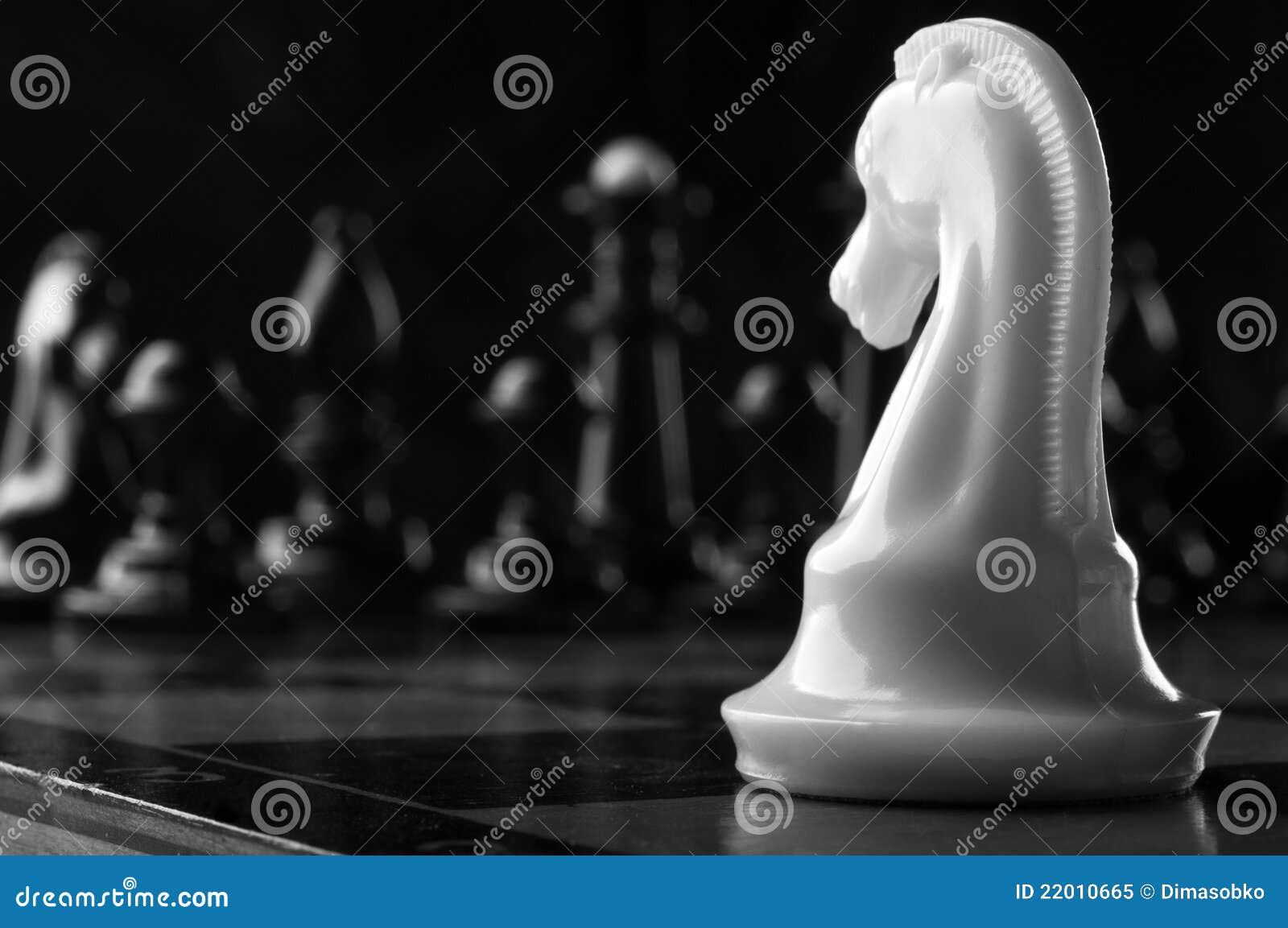100+ Thousand Chess Knight Royalty-Free Images, Stock Photos & Pictures