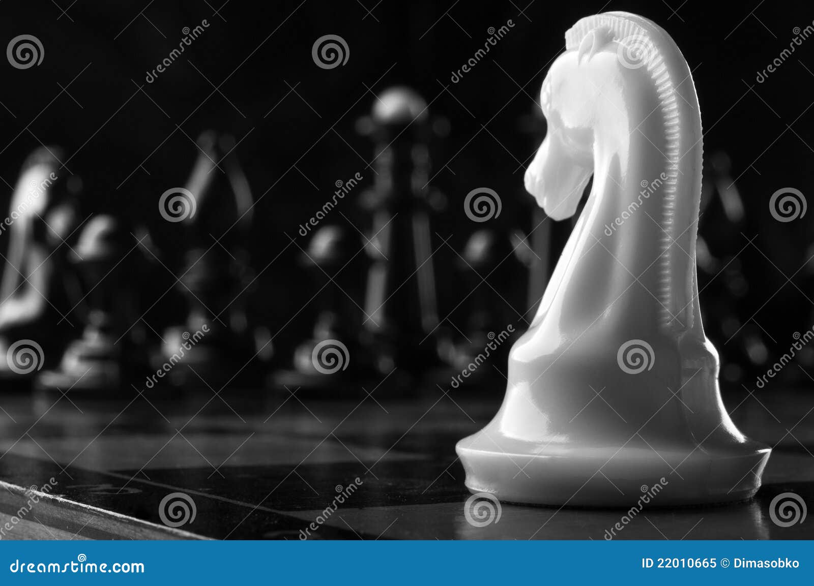 Chess Knight Photos, Download The BEST Free Chess Knight Stock