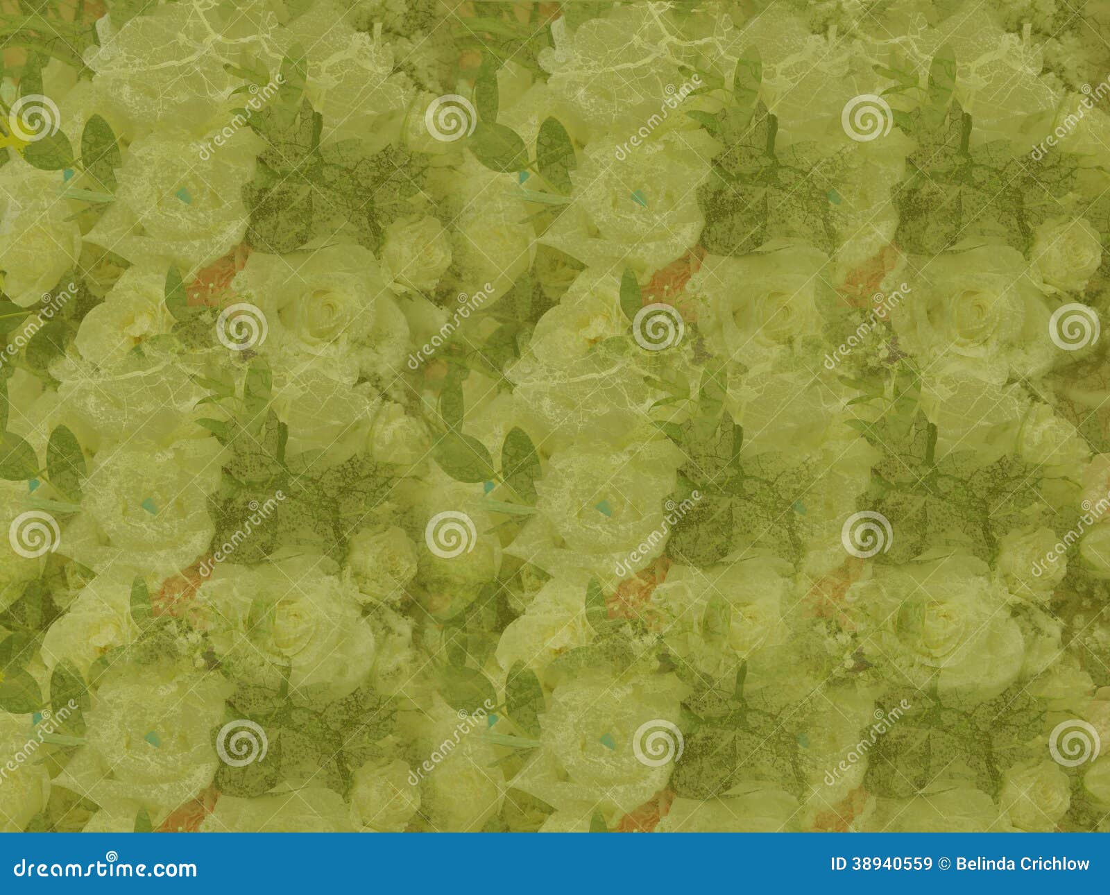 Grunge green roses stock image. Image of blur, belushus - 38940559