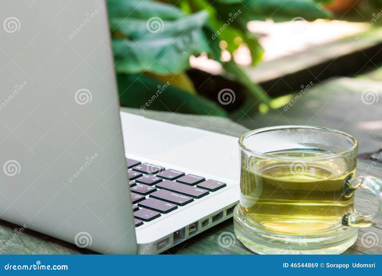 White Laptop and Tea Cup Business Stock Image Image of home, business