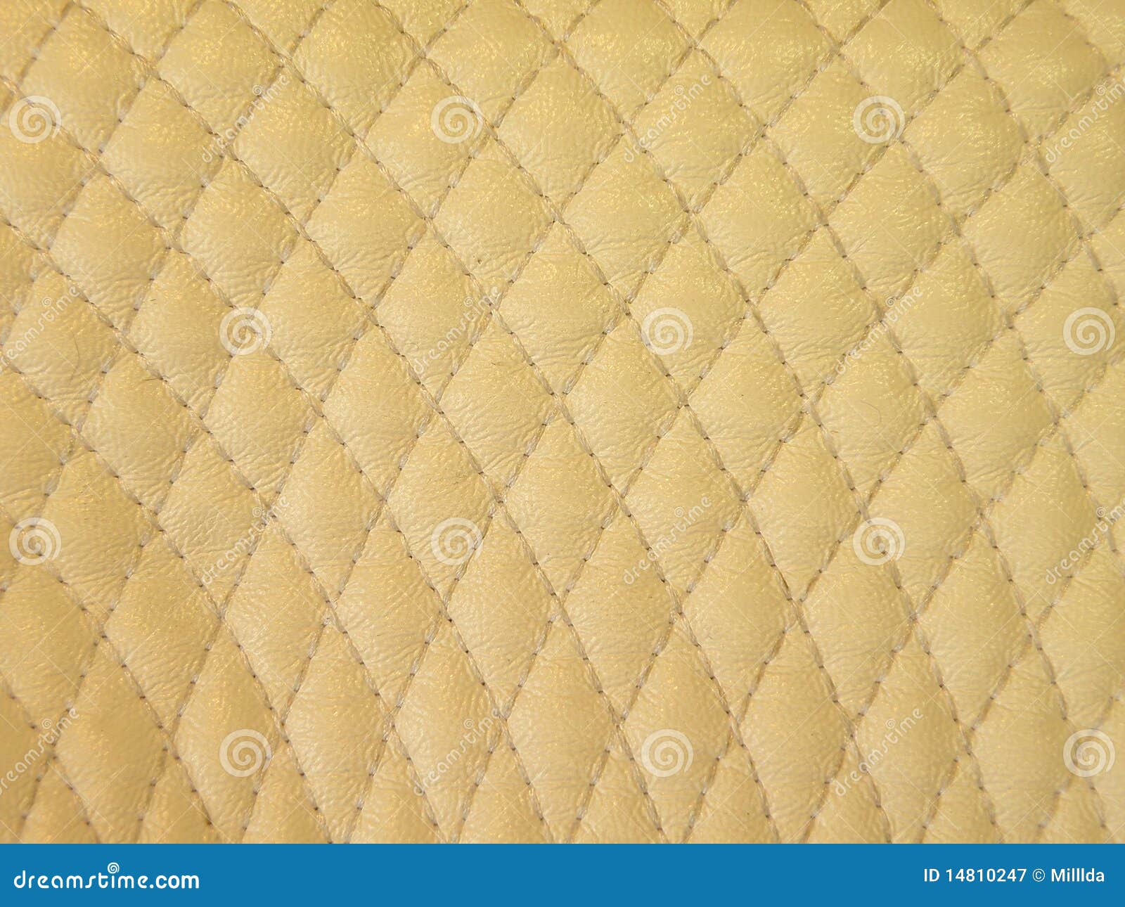 White leather stock image. Image of skin, lifestile, grunge 14810247