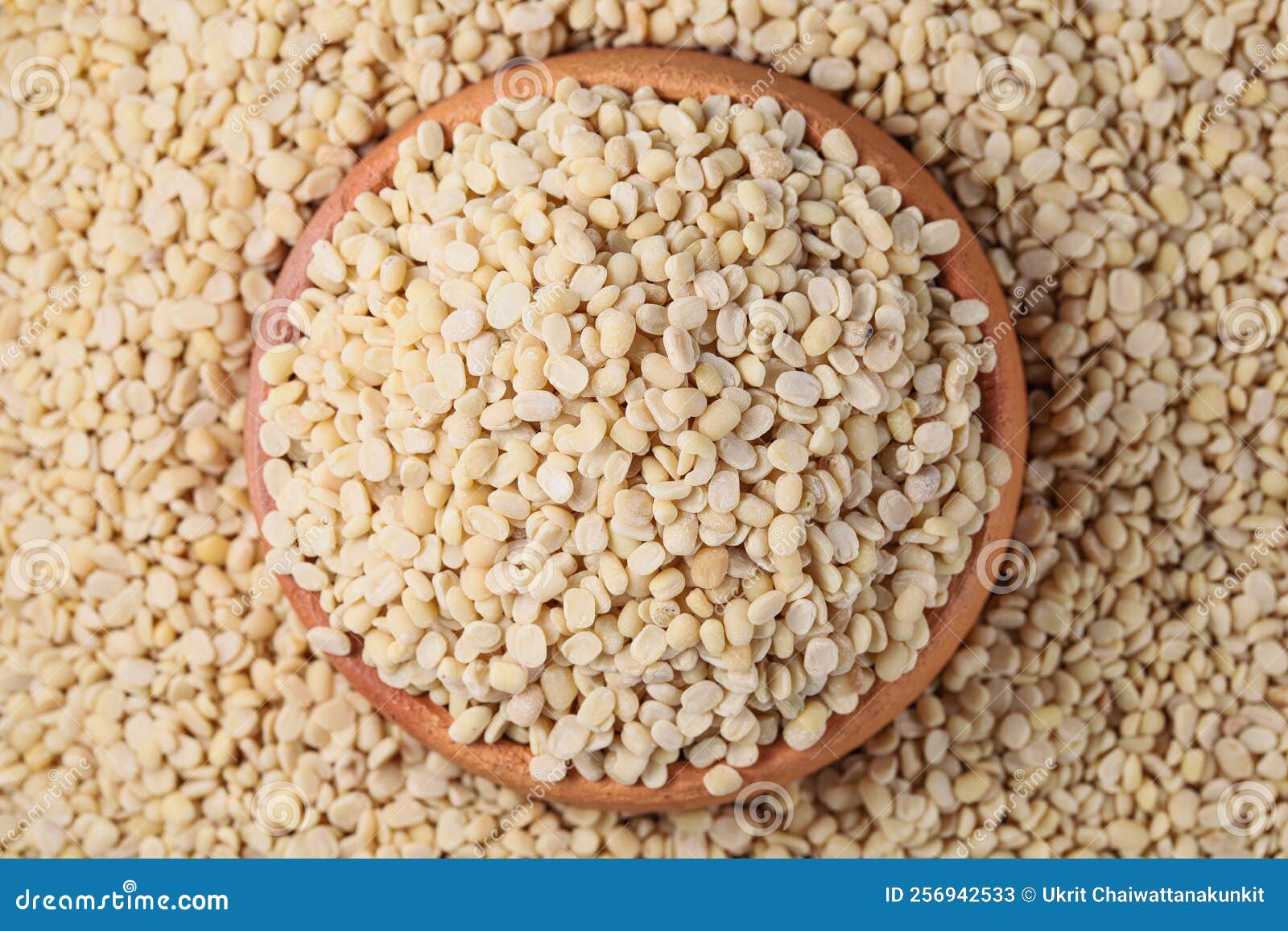 White Lentils Urad Dal. White Lentils in Pottery Stock Image Image of