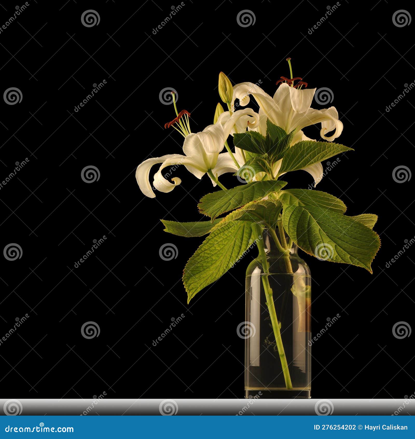 White Lilies in a Glass Vase Stock Photo Image of black, produce