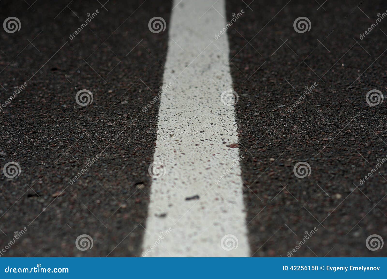 White line on asphalt stock photo. Image of focus, line 42256150