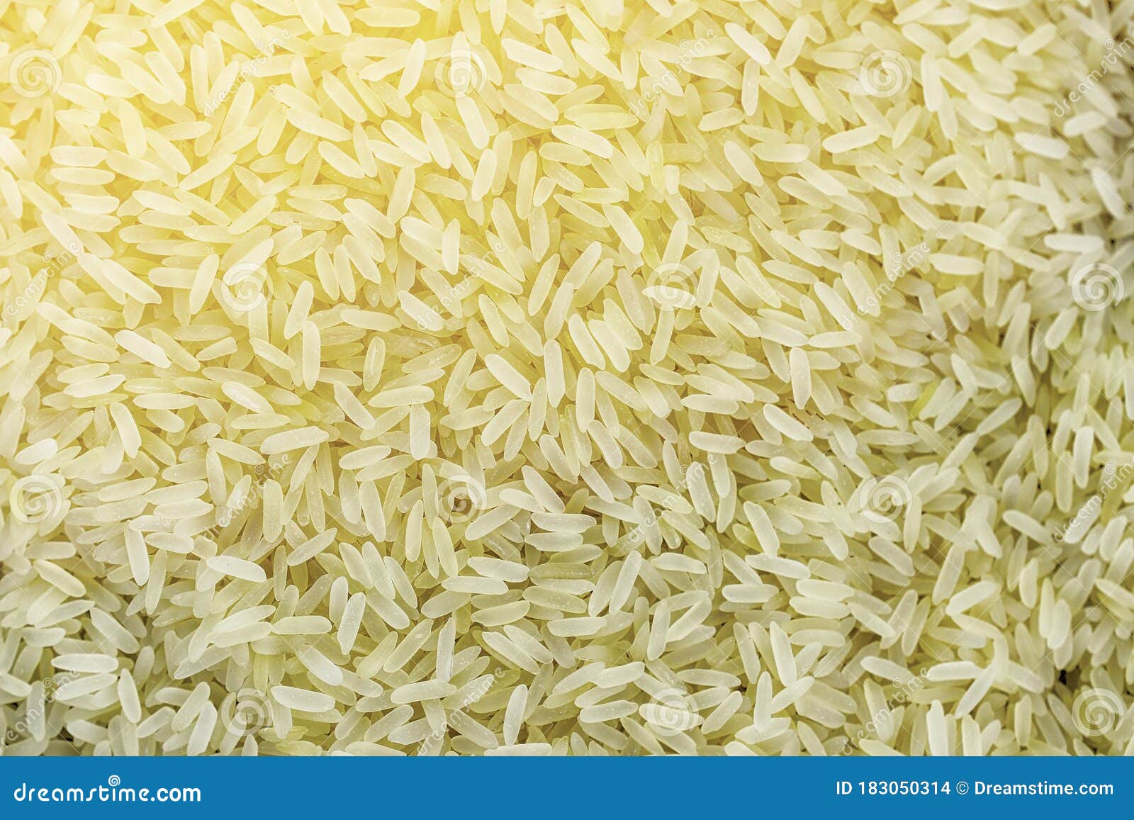 White Long Grain Peeled Rice, in Bulk, Macro Stock Photo Image of