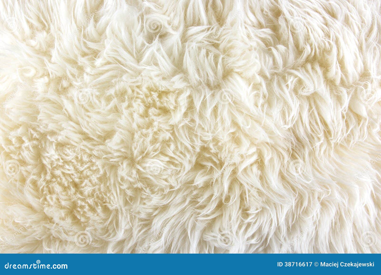 White Fur Texture Picture, Free Photograph