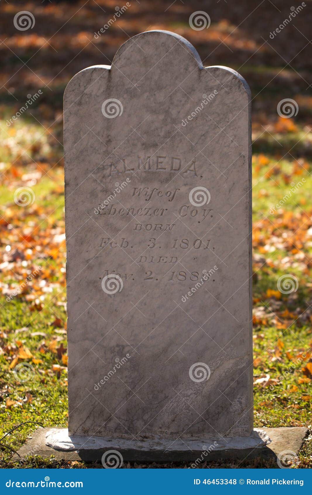 White Marble Grave Marking in Fall Stock Photo Image of michigan