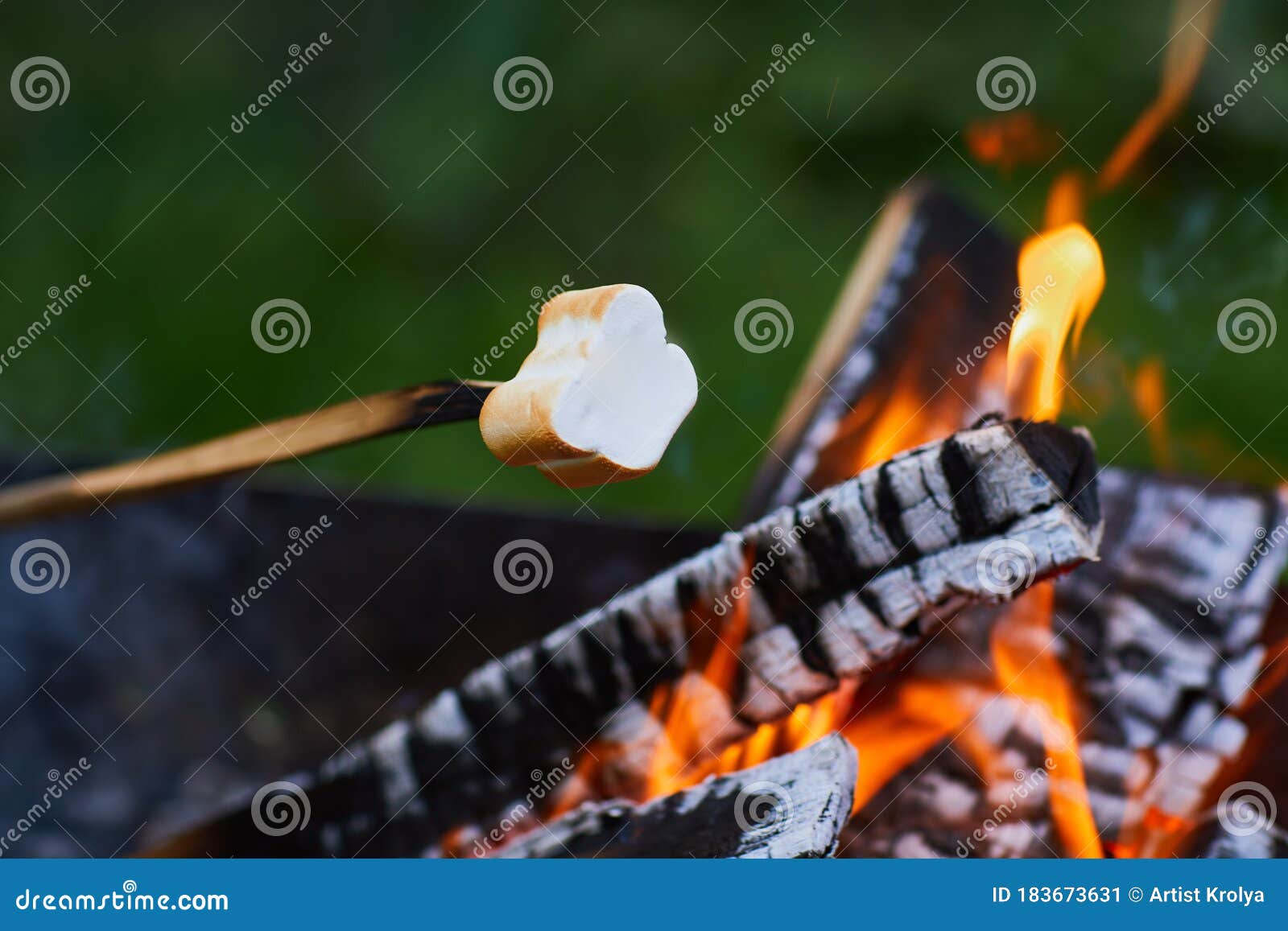 White Marshmallows on Sticks are Being Grilled Over the Fire Flames ...