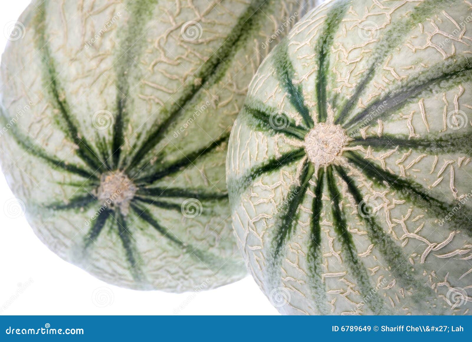 White melons stock image. Image of nutritional, details 6789649