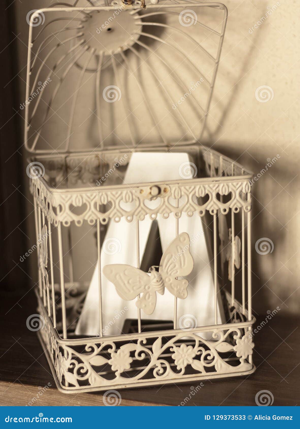 White Metal Cage with Butterfly and Letter a Stock Image - Image