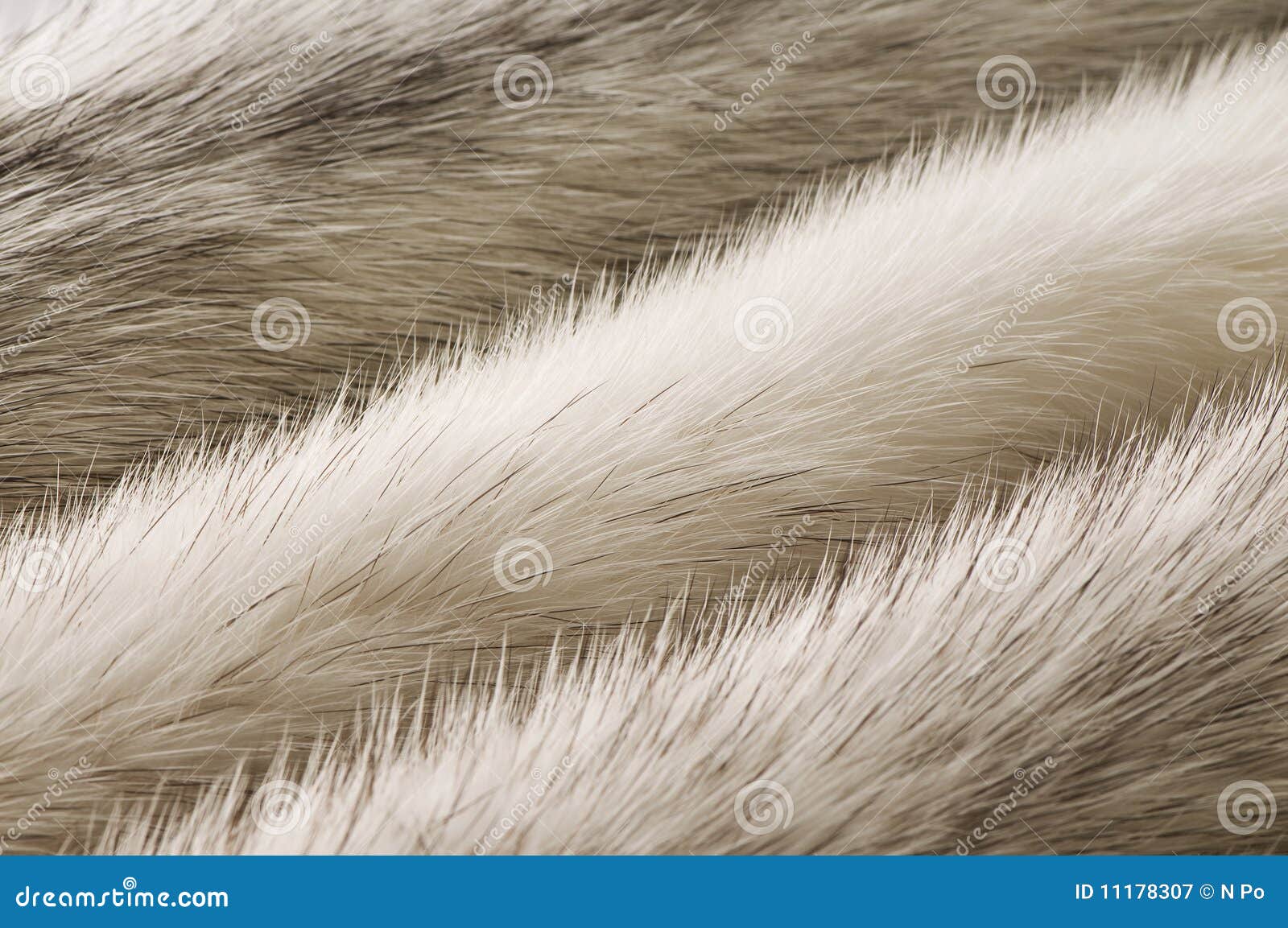 White mink fur texture stock image. Image of gray, structure - 11178307
