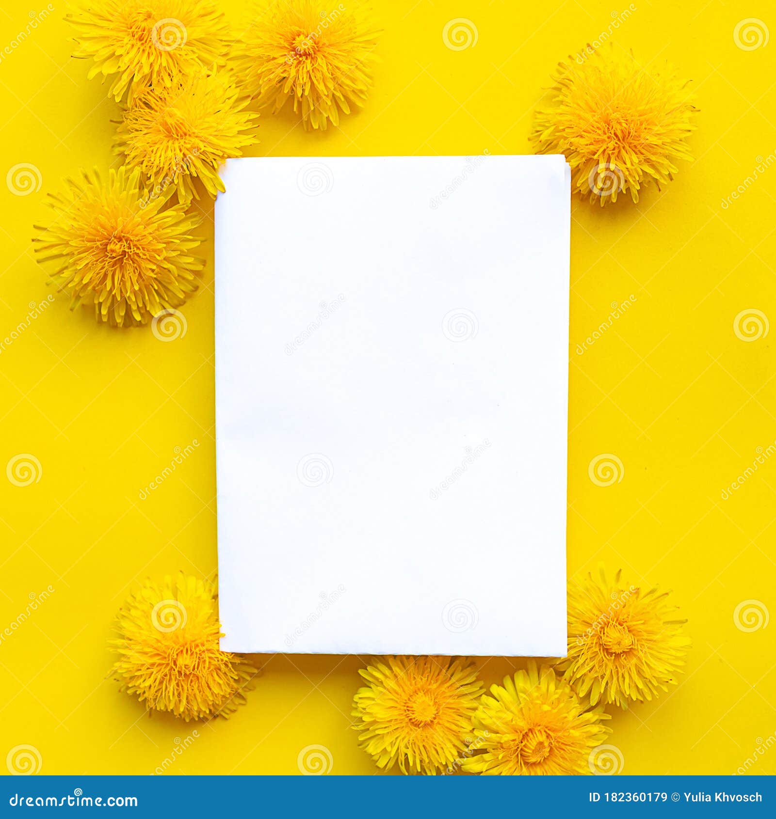 Download White Mockup Blank And Yellow Blooming Dandelions On ...