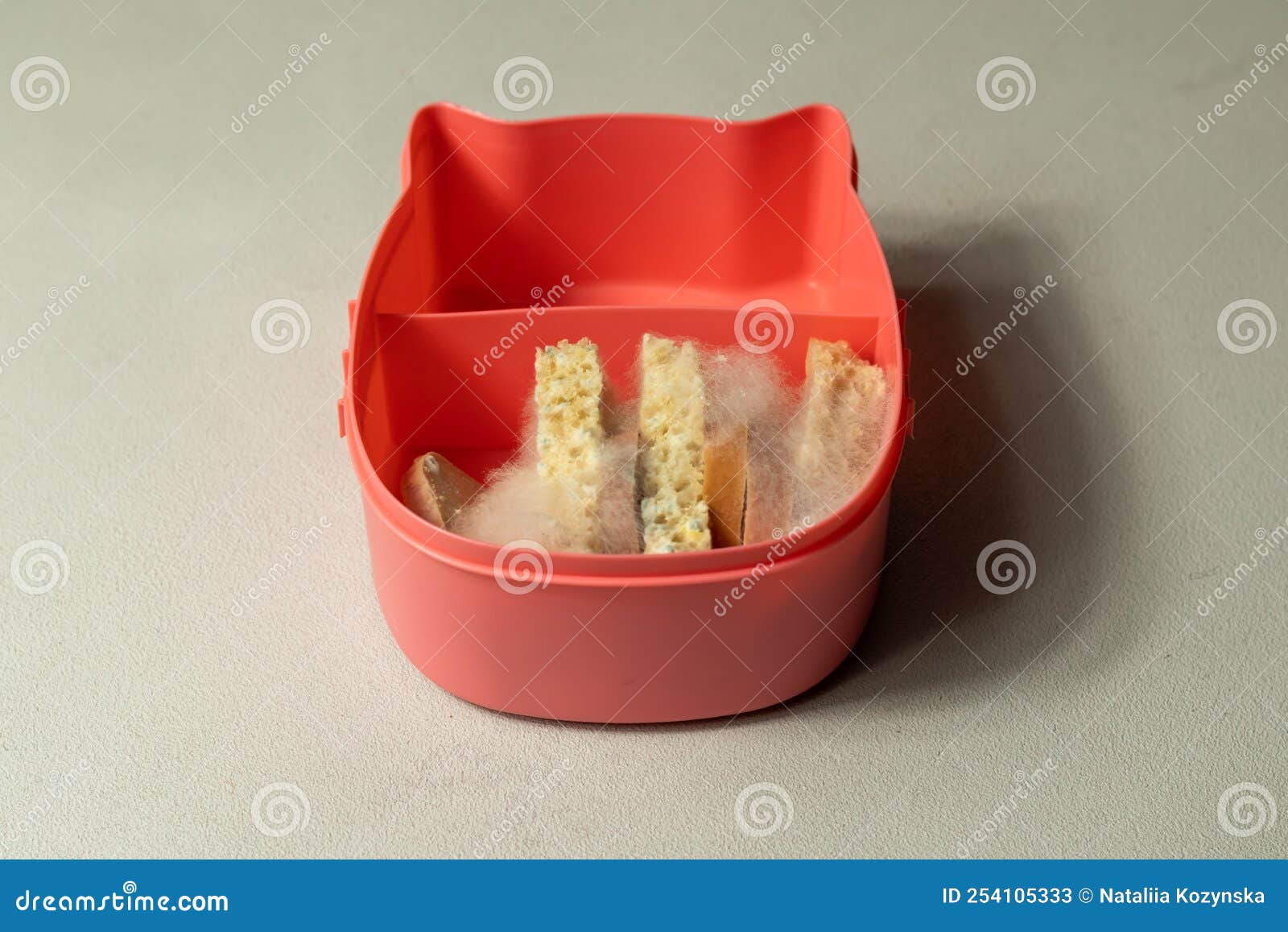 White Mold on Slices of Bread and Slices of Sausage in Pink Lunch Bokeh