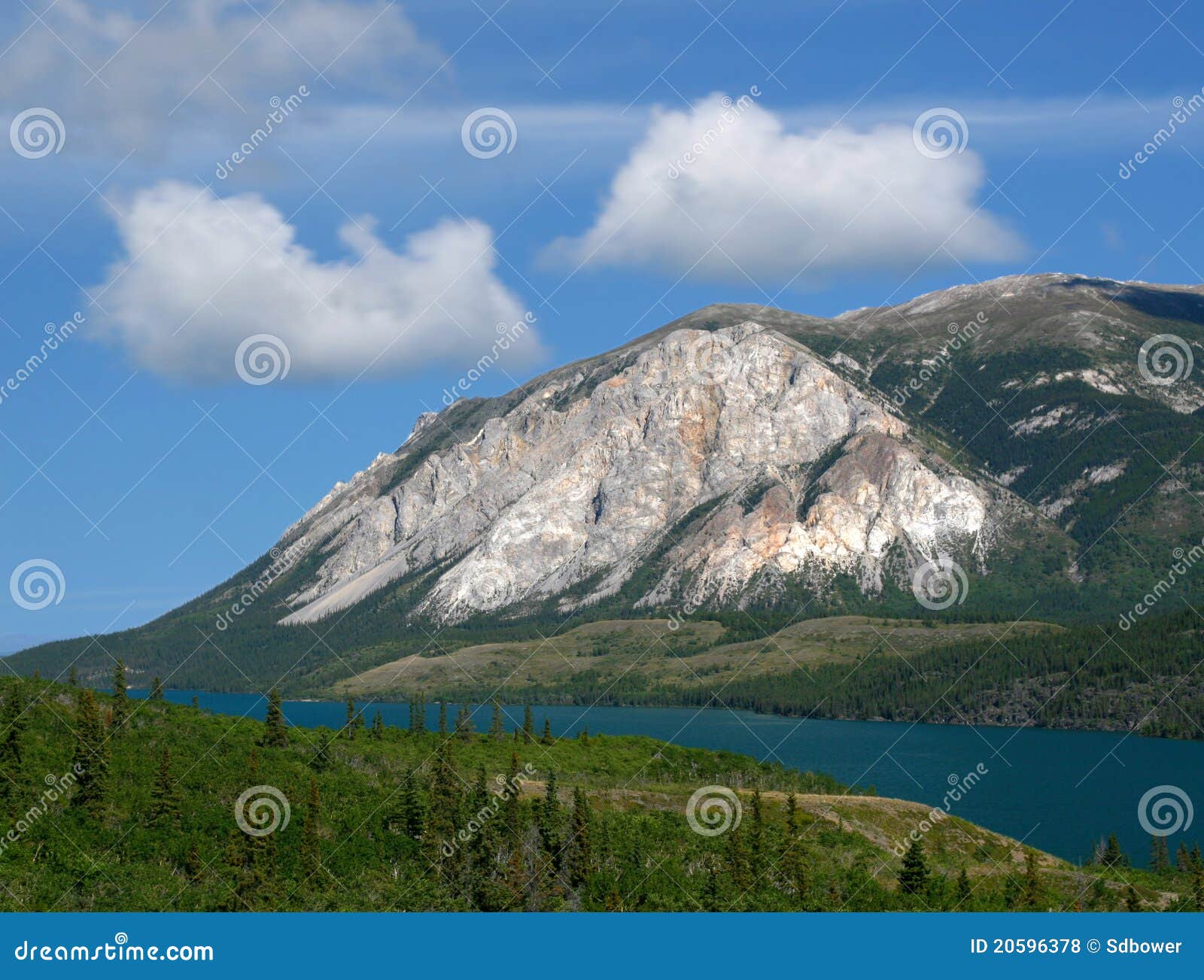 A White Mountain on the Road To Skagway Alaska, Stock Photo Image of canada, territory 20596378