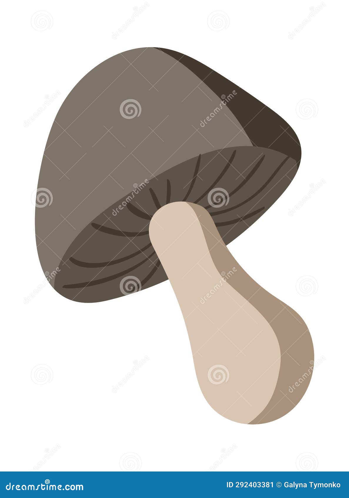 white mushroom. flat style  . single  object. autumn theme. finding in the forest. hand drawn