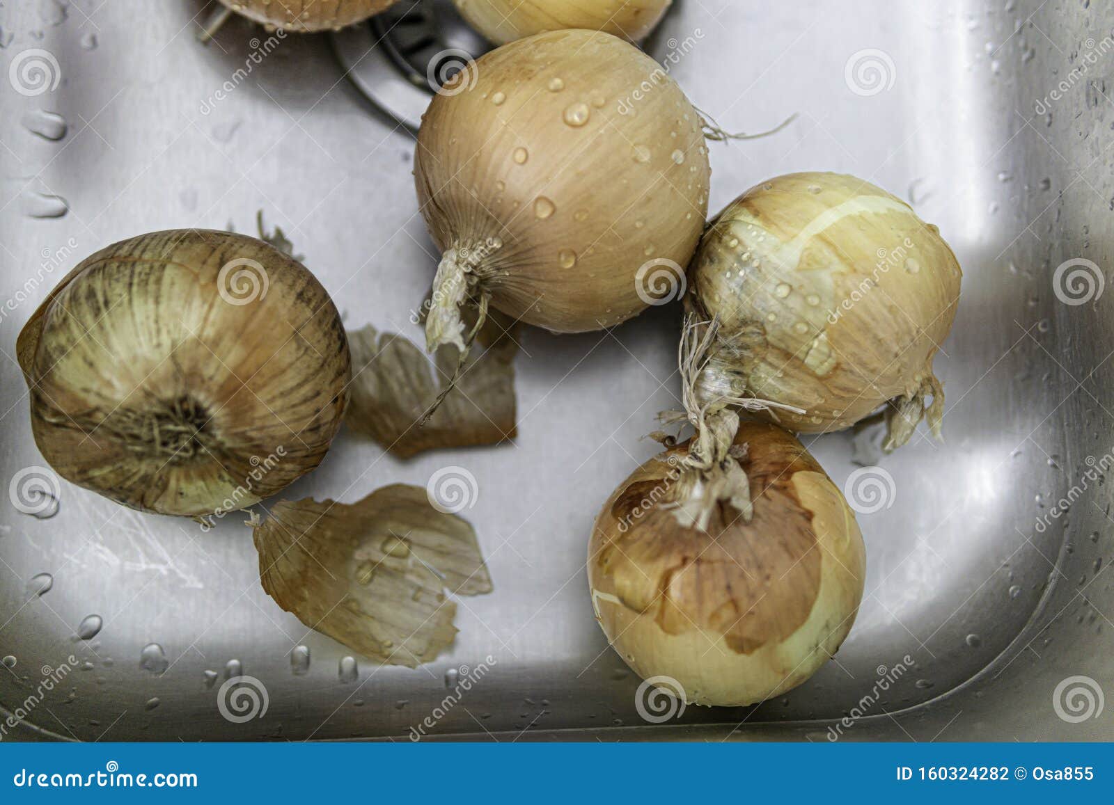 onions in kitchen sink