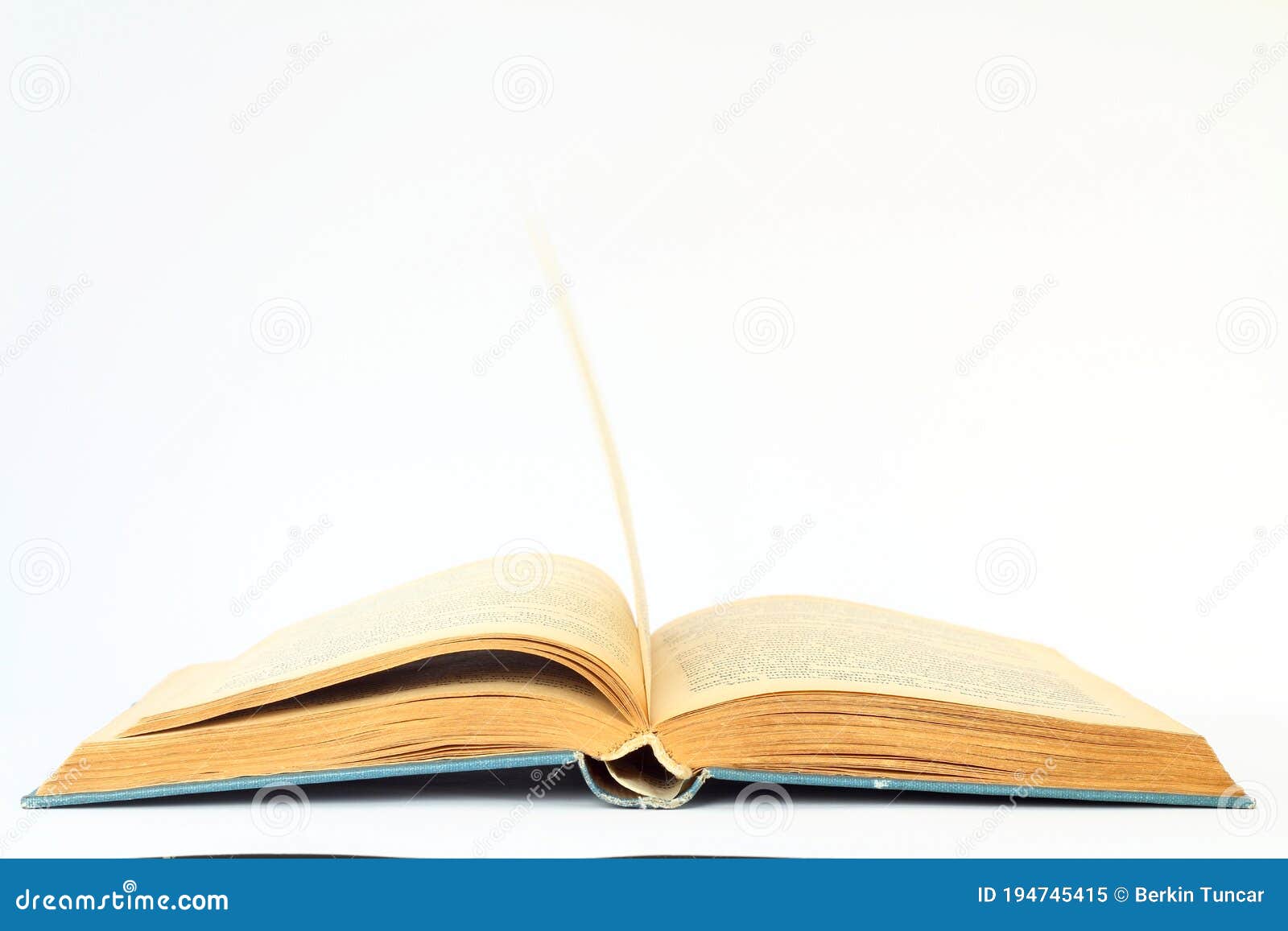 White Opened Book With Blank Pages Stock Image Image Of Copy