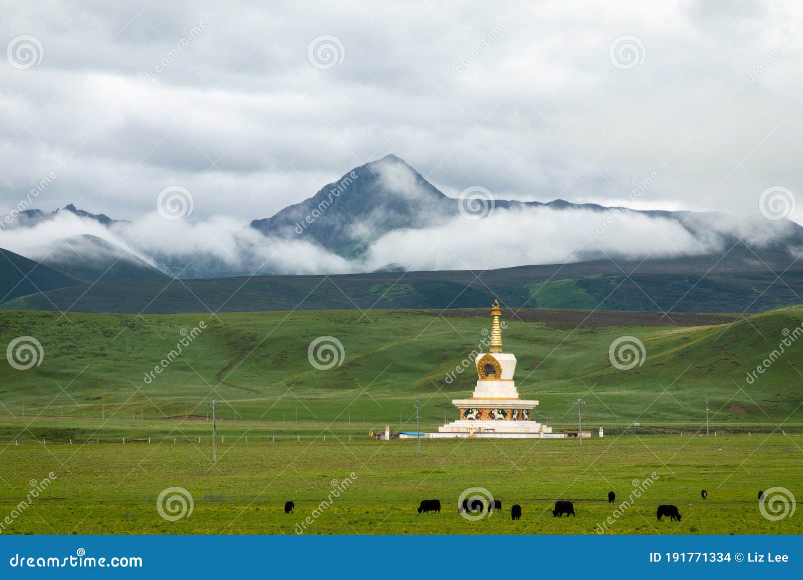 the white pagoda of tibetan buddhism on the grassland at the foot of the snow-capped mountains