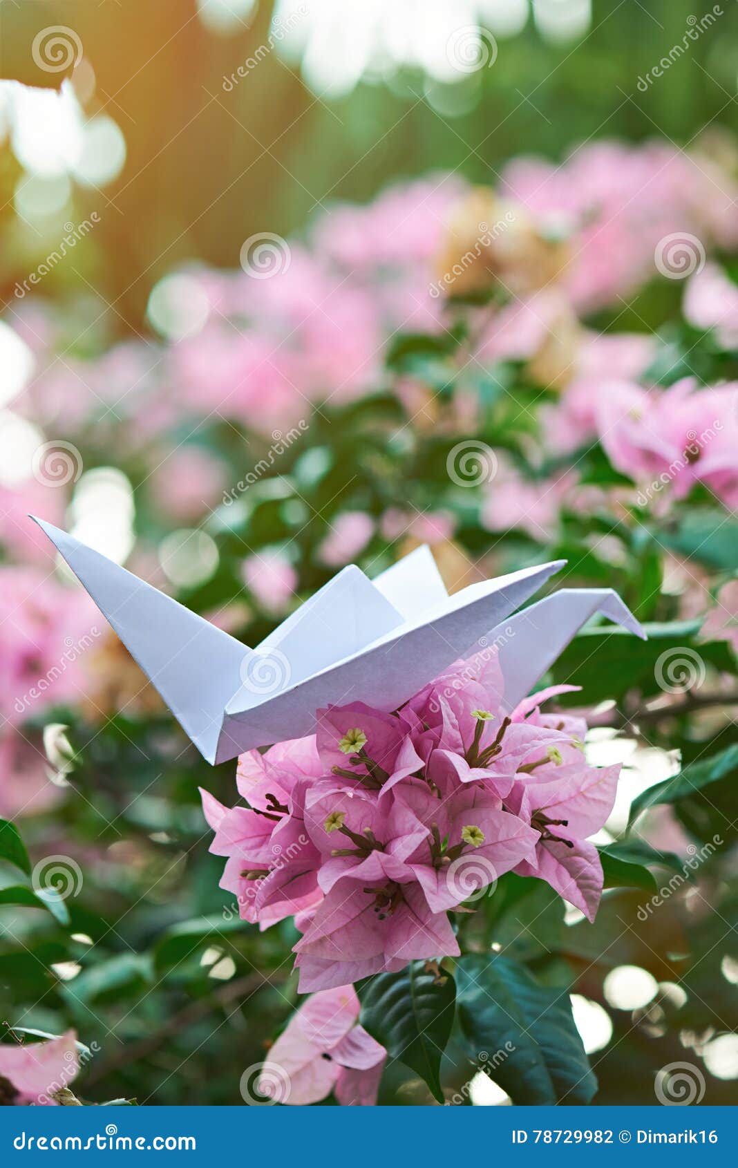 White paper crane stock photo. Image of happiness, summer 78729982