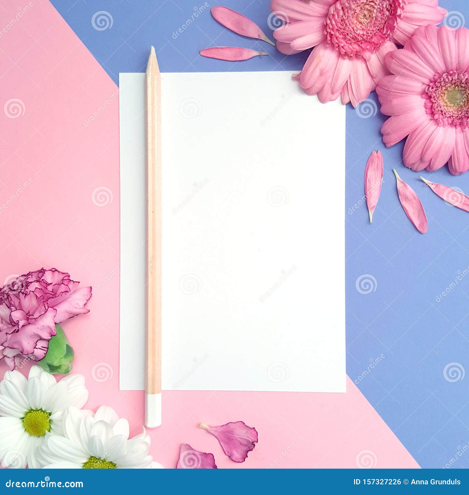 Download White Paper Note Card Mockup On Pink And Purple Stock Photo Image Of Blank Mockup 157327226 PSD Mockup Templates