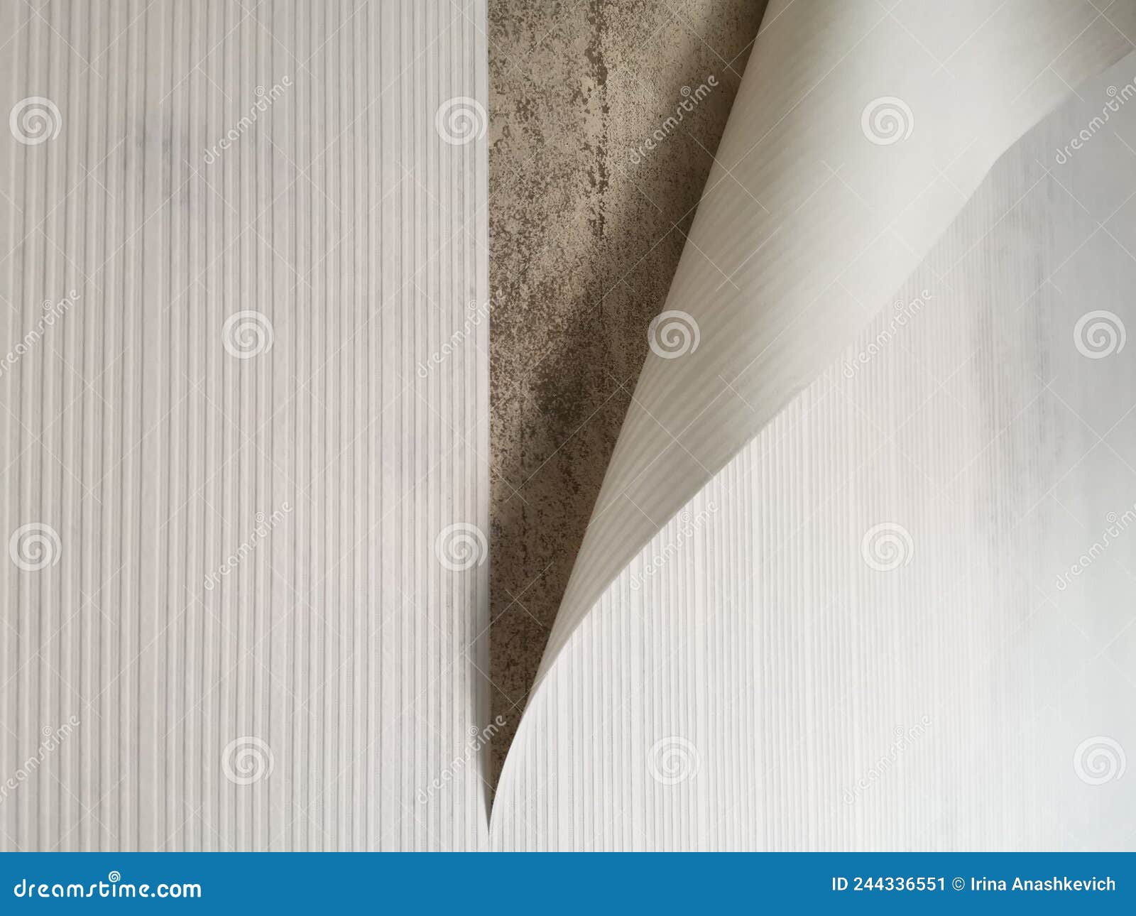 White Paper Wallpapers Peel Off from the Wall. Stock Image Image of