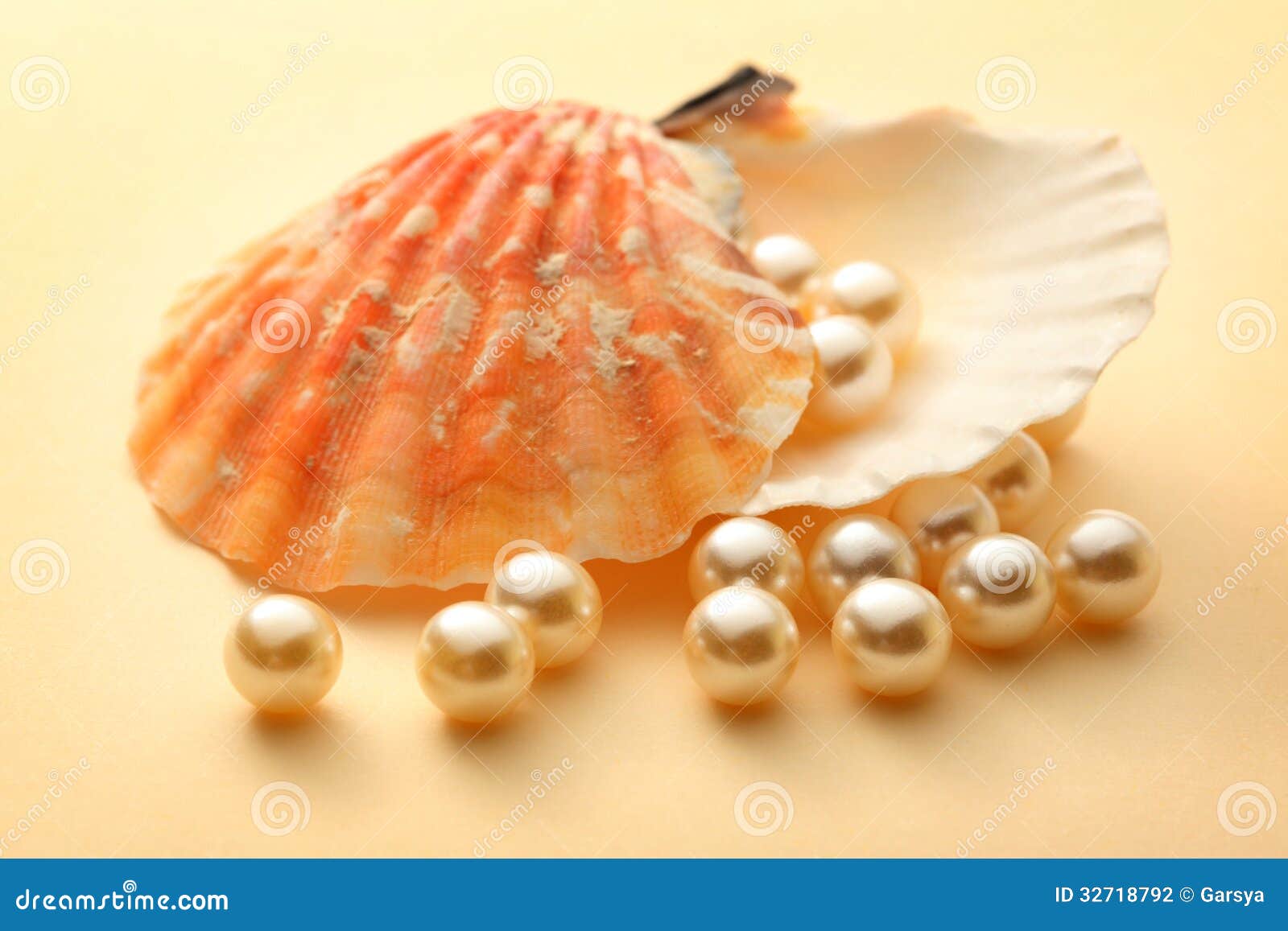 White pearls in seashell stock photo. Image of gemstone 32718792