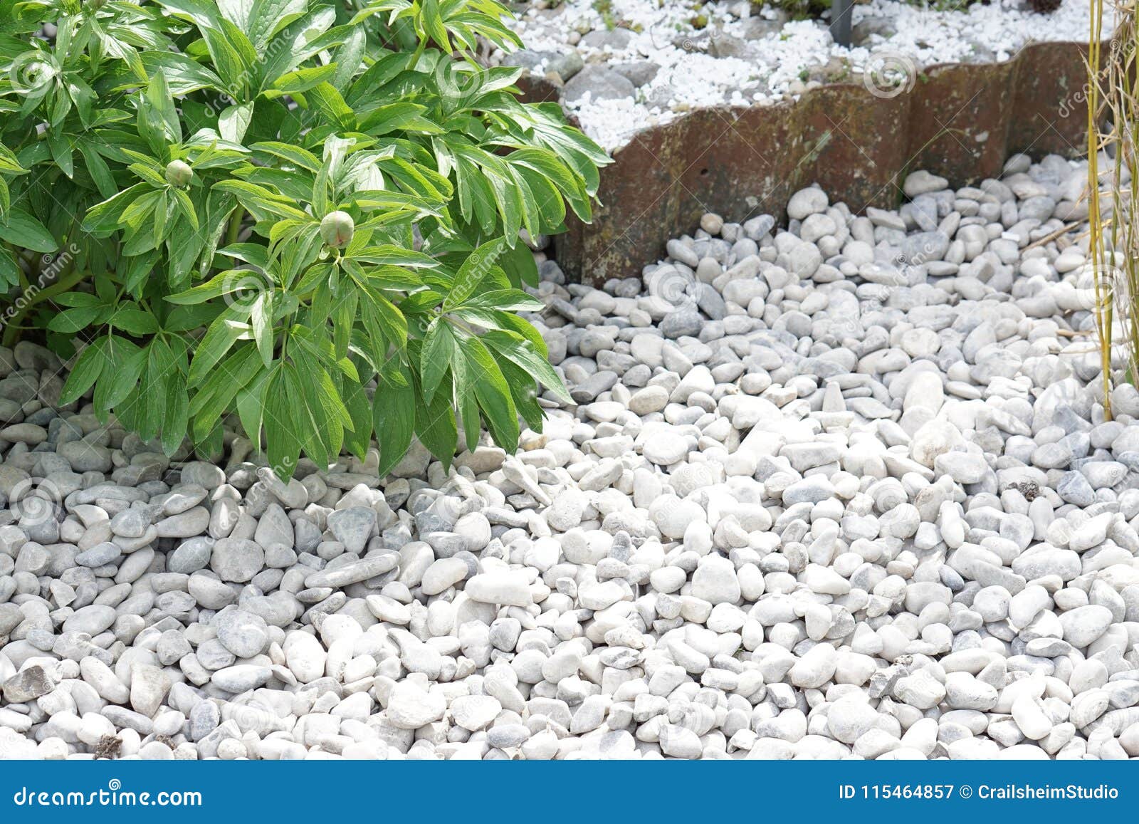 Garden Design With White Stones - 3rb4real