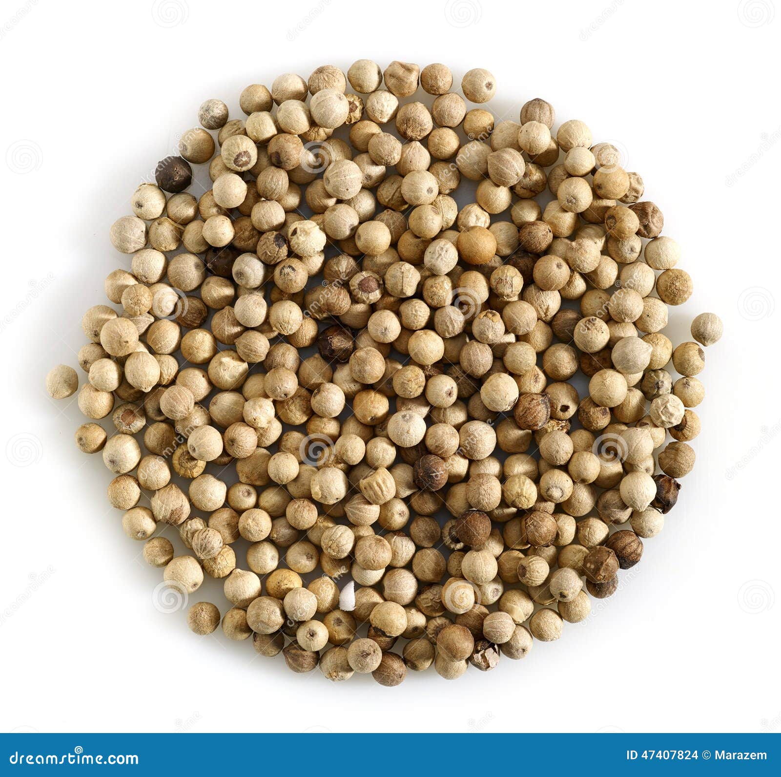White pepper stock photo. Image of white, ball, pepper 47407824