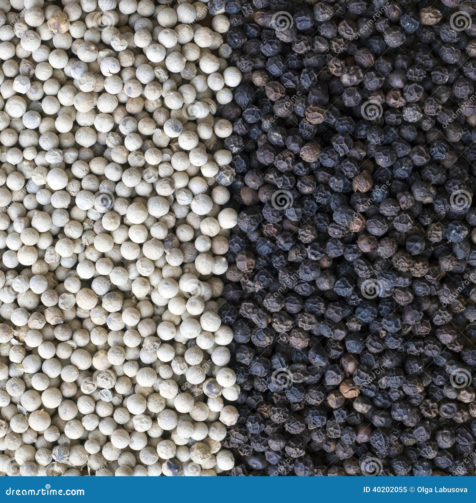 White Pepper and Black Pepper Stock Image Image of gourmet, heap