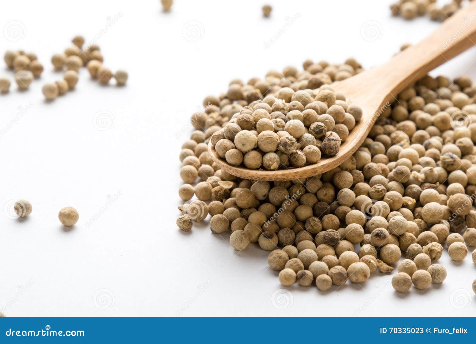 White peppercorn seeds stock image. Image of flavoring 70335023