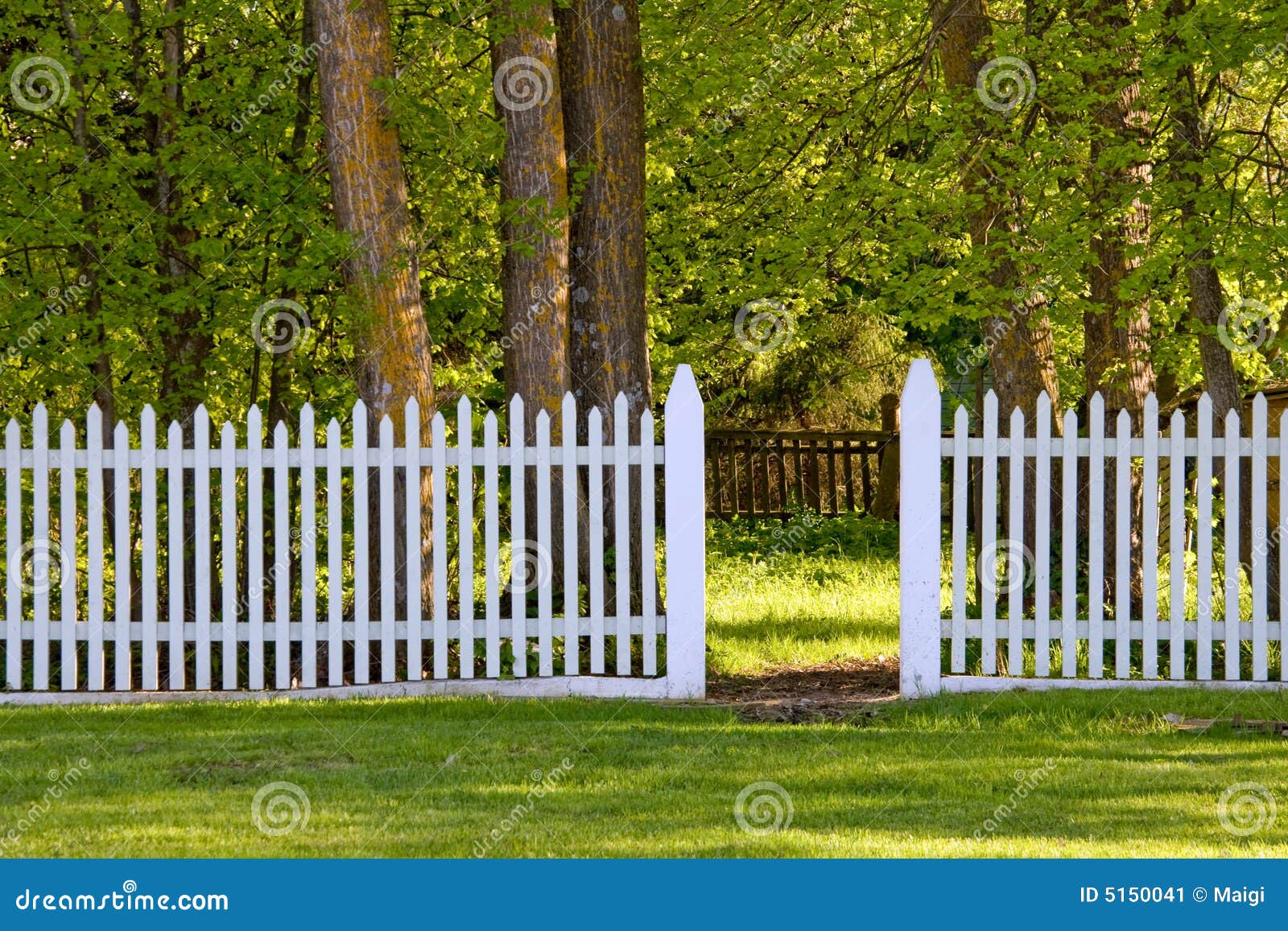 Picket Fence Stock Image 11843695