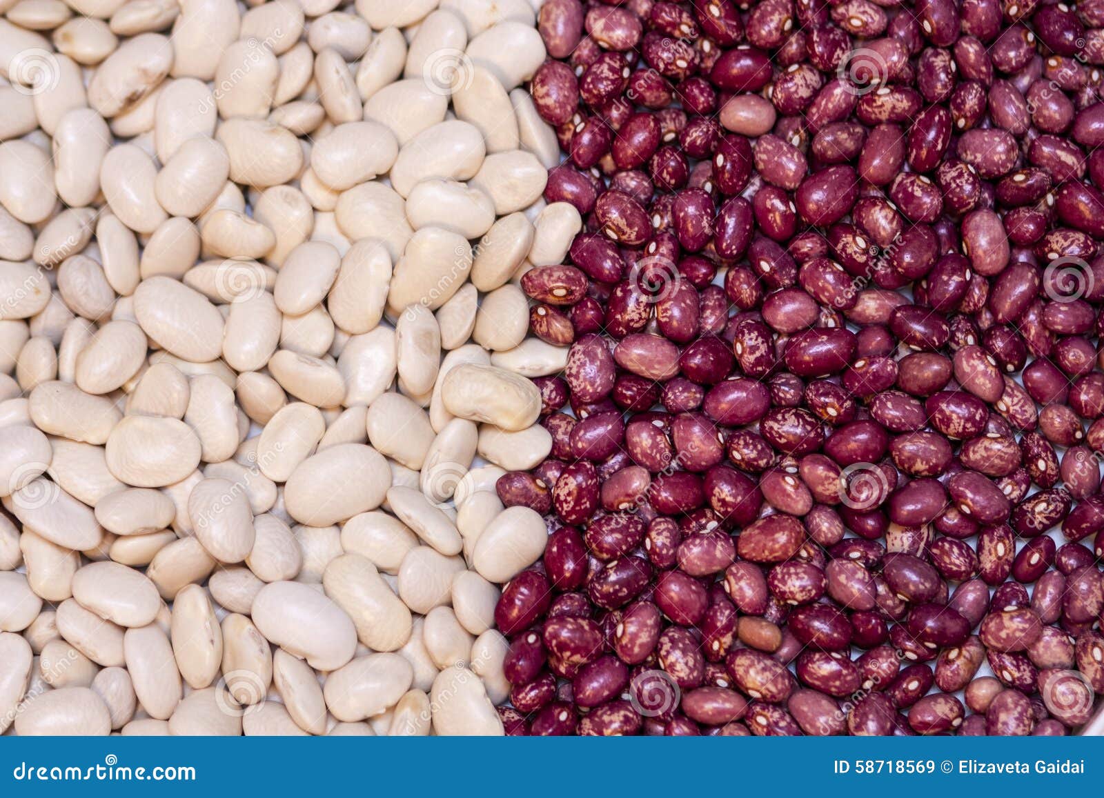 White and pink beans stock image. Image of chali, upright 58718569