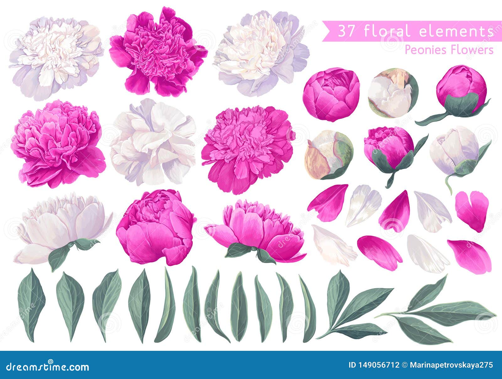 set of floral s with peonies flowers and leaves.