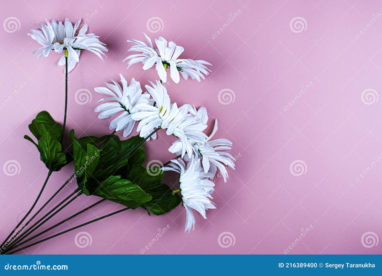 White Plastic Flowers on Pink Background Copyspace Greeting Card ...