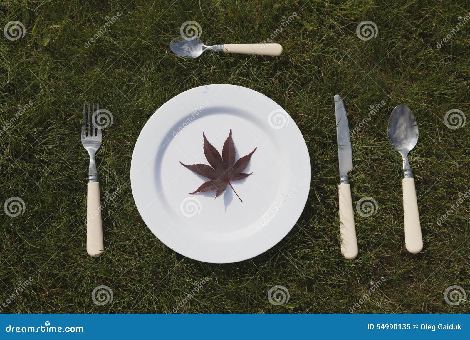 White plate on grass. White plate and cutlery on green grass outdoors. On the plate a Japanese red maple leaves.