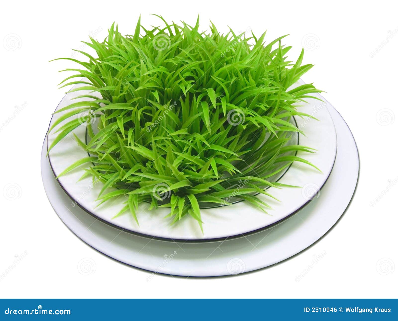 White Plate with Green Leaves Stock Photo Image of food, brunch 2310946