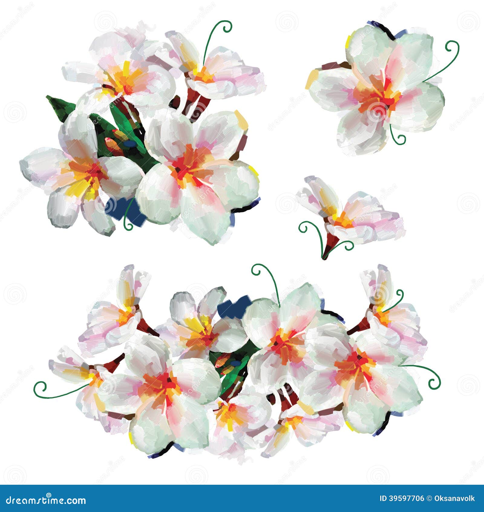 White Plumeria Or Frangipani Flowers On Blue Color Background Royalty ...