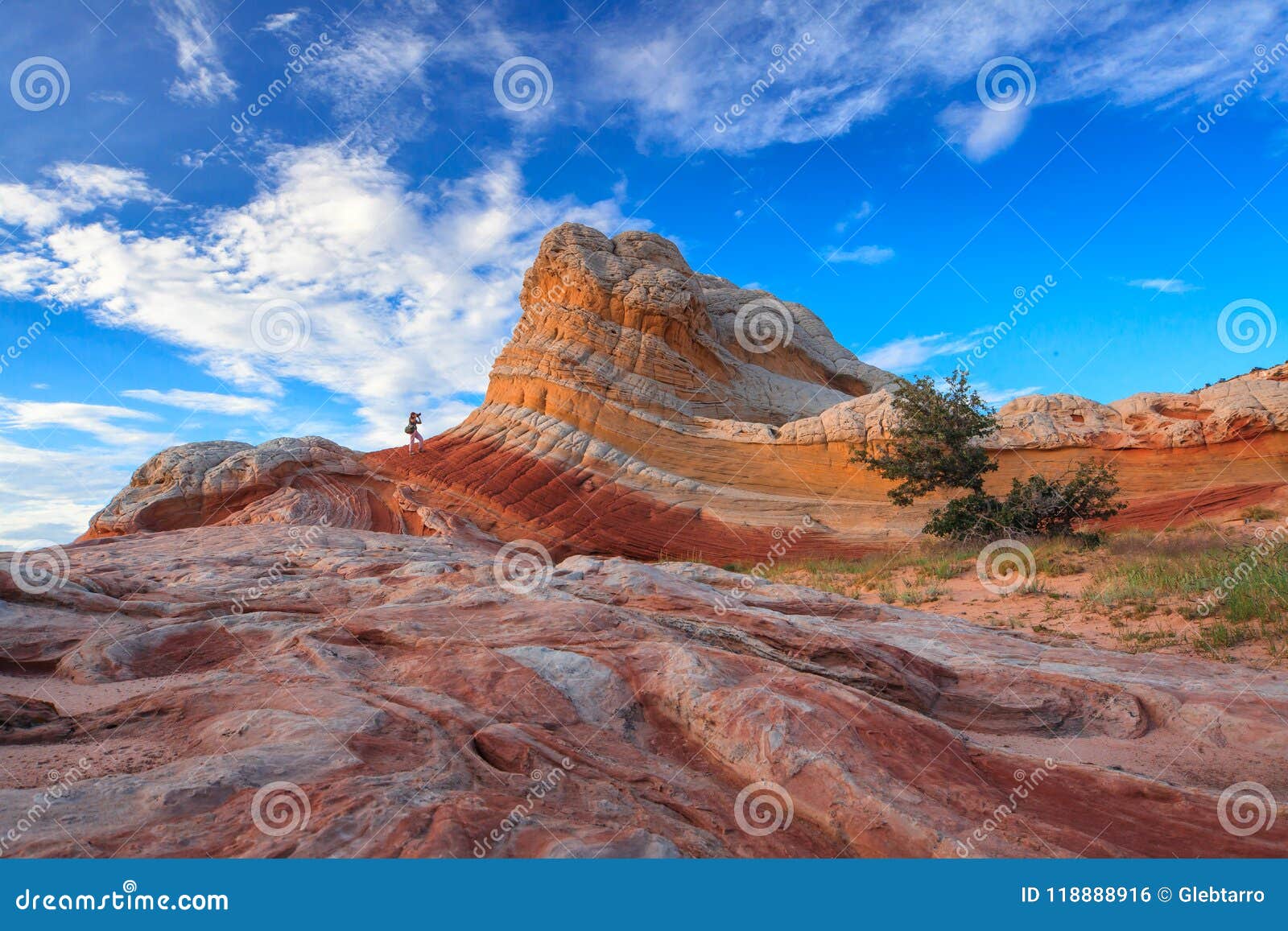 white pocket, vermilion cliffs national monument, arizona, usa