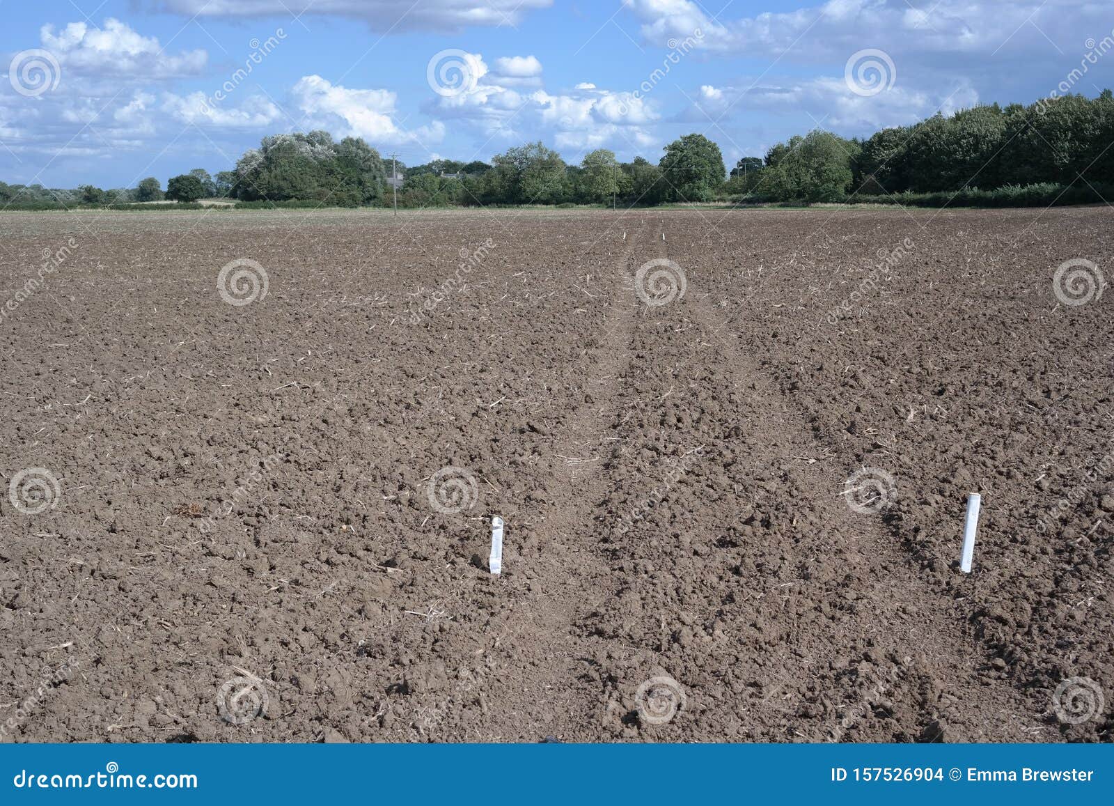white posts marking a path through a muddy field in fotheringhay