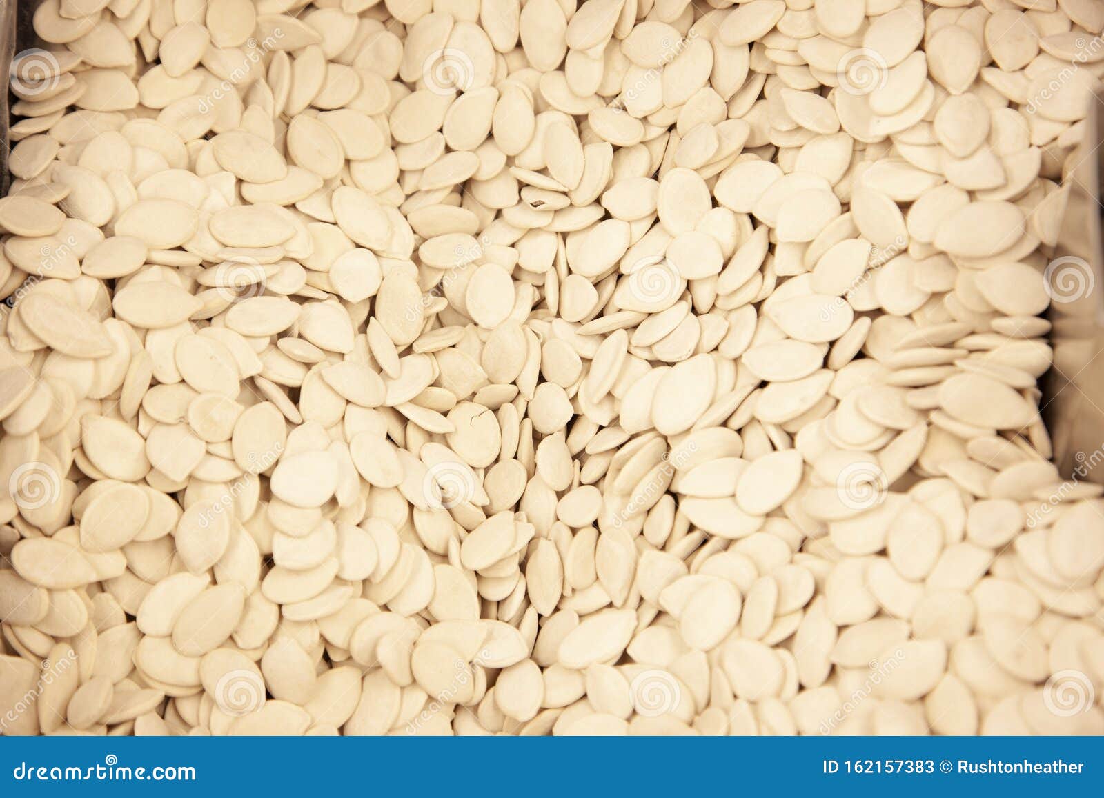 White pumpkin seeds stock image. Image of white, seasonal 162157383