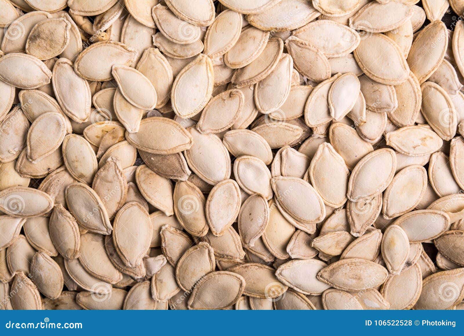White pumpkin seeds stock photo. Image of background 106522528