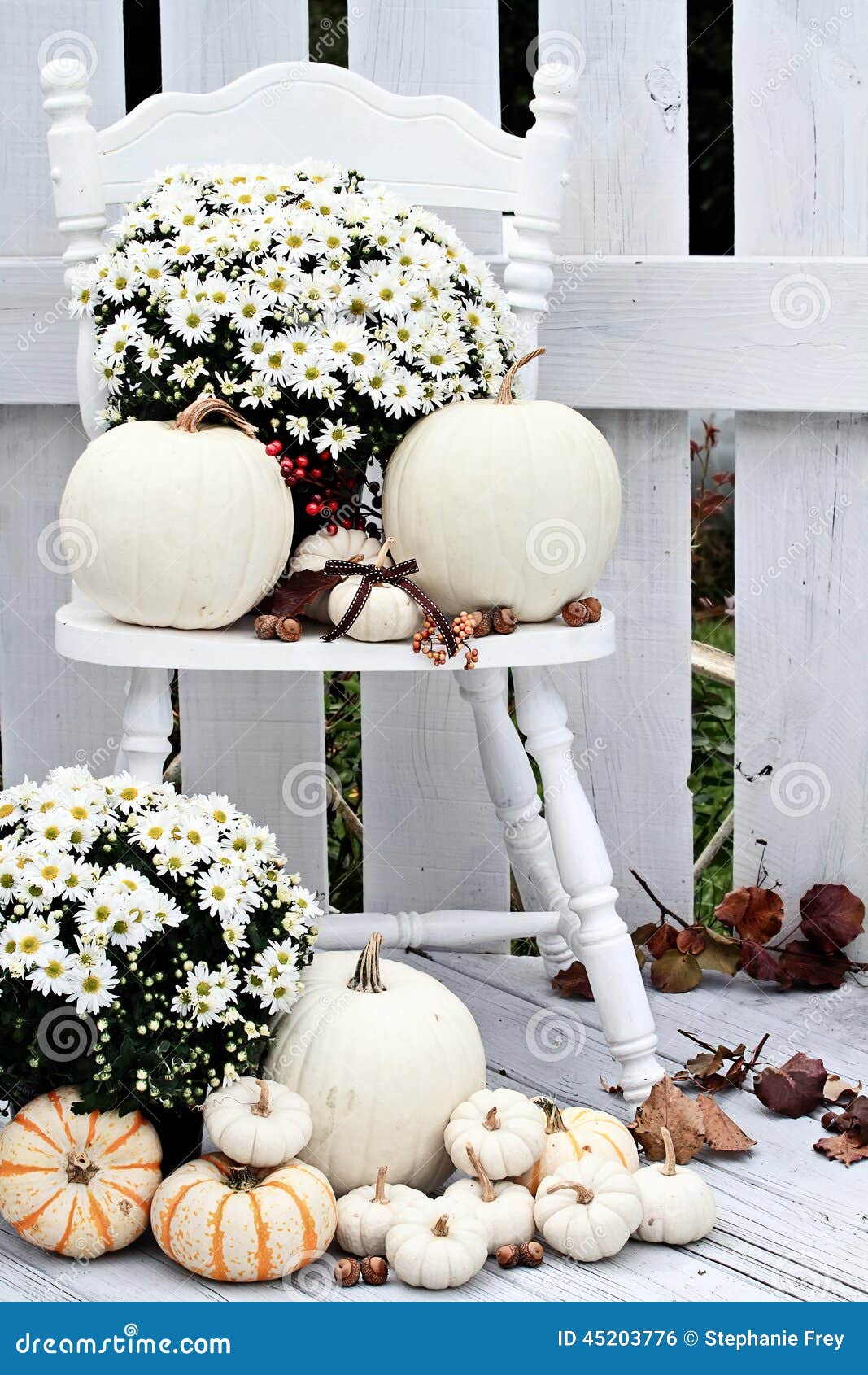 white pumpkins and mums